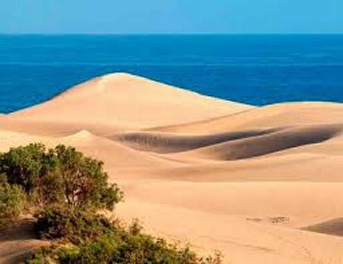 Bungalow Duna Flor Maspalomas Maspalomas  Zewnętrze zdjęcie